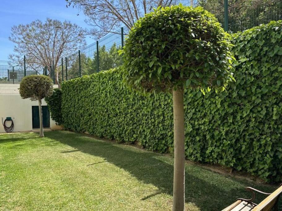 Three Bedroom Apartment, Prime Javea Location 외부 사진